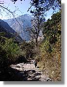 Inca_174.jpg(200 KB)