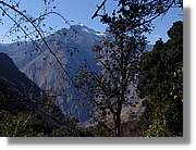 Inca_175.jpg(169 KB)
