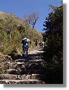 Inca_177.jpg(169 KB)