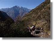 Inca_180.jpg(136 KB)