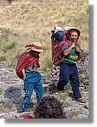 Inca_250.jpg(153 KB)