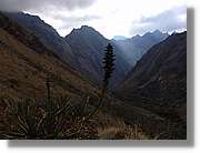 Inca_261.jpg(86,2 KB)