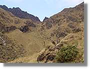 Inca_262.jpg(131 KB)