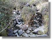 Inca_272.jpg(234 KB)