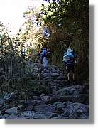 Inca_318.jpg(162 KB)