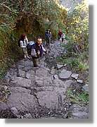 Inca_319.jpg(161 KB)
