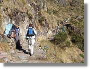 Inca_323.jpg(212 KB)