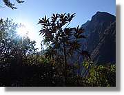 Inca_326.jpg(129 KB)