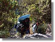 Inca_327.jpg(242 KB)