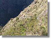 Inca_331.jpg(196 KB)