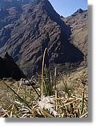 Inca_345.jpg(160 KB)