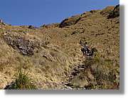 Inca_347.jpg(158 KB)