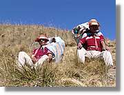 Inca_354.jpg(126 KB)