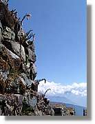 Inca_437.jpg(116 KB)