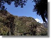 Inca_445.jpg(174 KB)