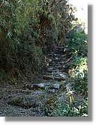 Inca_446.jpg(158 KB)