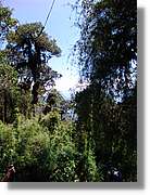 Inca_447.jpg(213 KB)