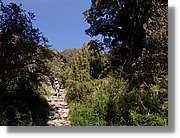 Inca_448.jpg(179 KB)