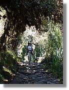 Inca_450.jpg(208 KB)