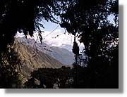 Inca_453.jpg(126 KB)