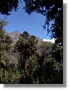 Inca_454.jpg(158 KB)