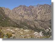 Inca_455.jpg(140 KB)