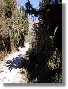 Inca_457.jpg(183 KB)