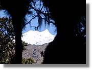 Inca_463.jpg(58,0 KB)