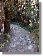 Inca_464.jpg(189 KB)