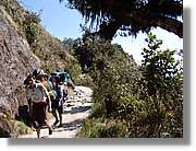 Inca_472.jpg(187 KB)