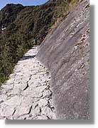 Inca_473.jpg(212 KB)