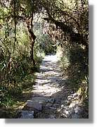 Inca_477.jpg(240 KB)