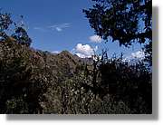 Inca_481.jpg(128 KB)