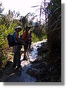 Inca_487.jpg(166 KB)