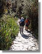 Inca_488.jpg(218 KB)