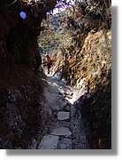 Inca_492.jpg(169 KB)