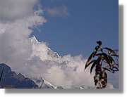 Inca_495.jpg(42,0 KB)