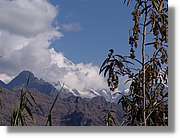 Inca_496.jpg(89,8 KB)