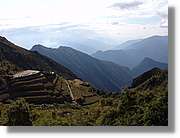 Inca_501.jpg(81,4 KB)