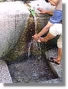 Inca_504.jpg(178 KB)