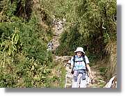 Inca_505.jpg(221 KB)