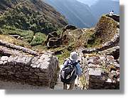 Inca_508.jpg(187 KB)