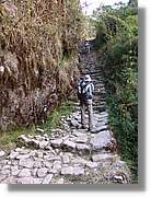 Inca_515.jpg(226 KB)