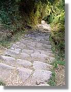 Inca_516.jpg(211 KB)