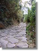 Inca_517.jpg(214 KB)