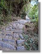 Inca_518.jpg(229 KB)