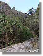 Inca_521.jpg(181 KB)