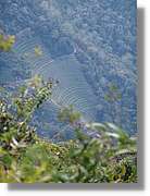 Inca_523.jpg(96,6 KB)