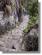 Inca_524.jpg(219 KB)