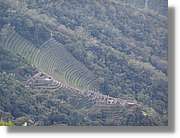 Inca_526.jpg(94,1 KB)